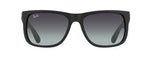 Load image into Gallery viewer, RAYBAN RB4165 JUSTIN
